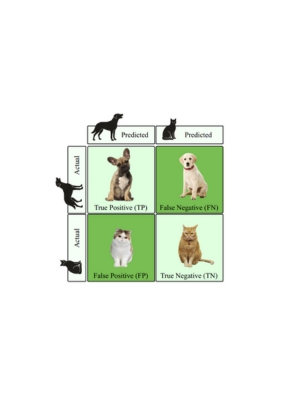 Evaluation Metrics for Binary Classification Task