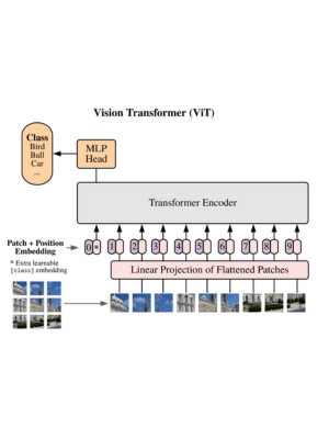 Step-by-Step: Vision Transformer