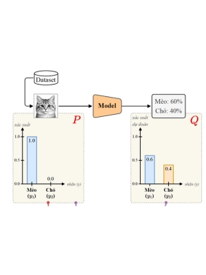 Các bài đọc thêm lớp WarmUp2026