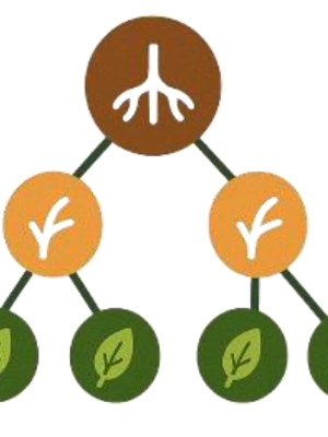 Decision Tree for Classification (v2026)